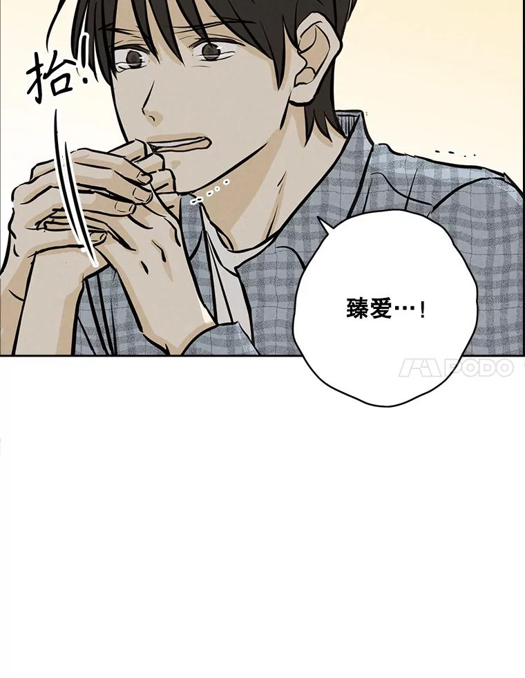 《消失的新郎》98.在梦里 第47页