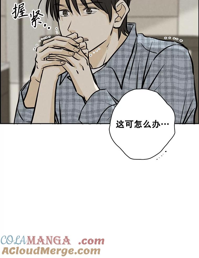 《消失的新郎》98.在梦里 第43页