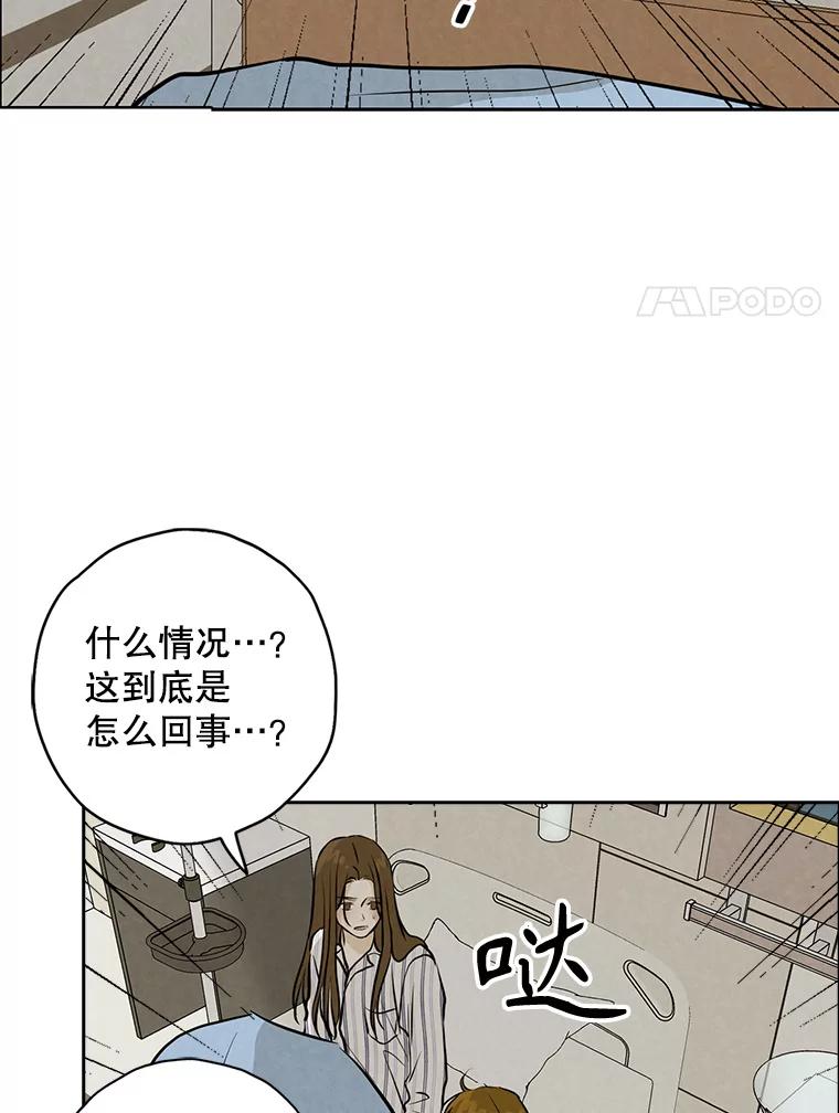 《消失的新郎》99.新闻发布会 第56页