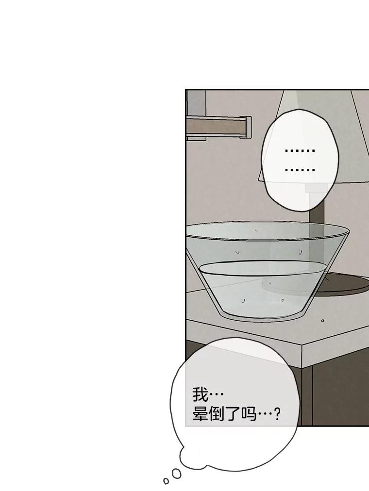 《消失的新郎》99.新闻发布会 第54页