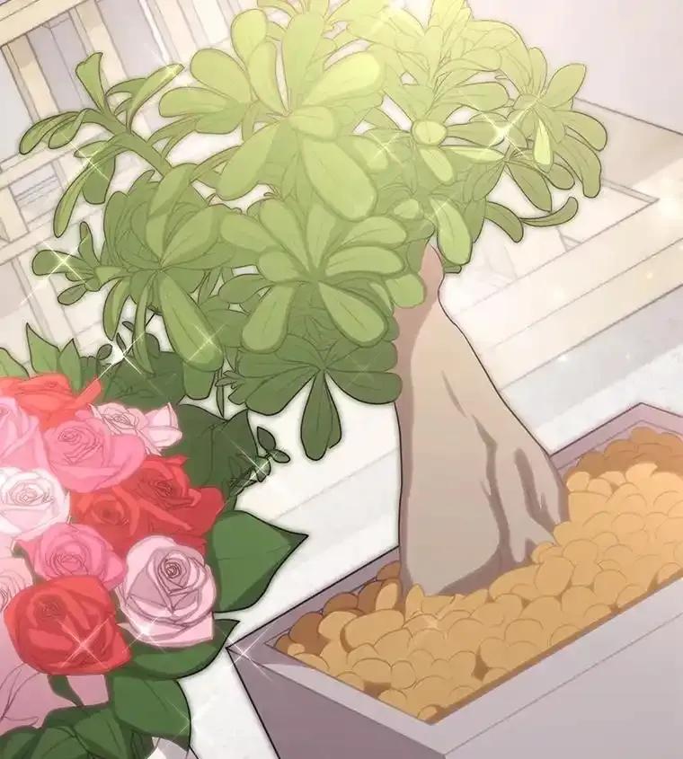 《爱的契约》65.婆婆的安慰 第86页