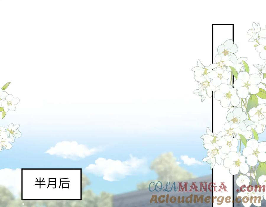 【快穿】绝美白莲在线教学 381 都说了别开自动拾取 第17页