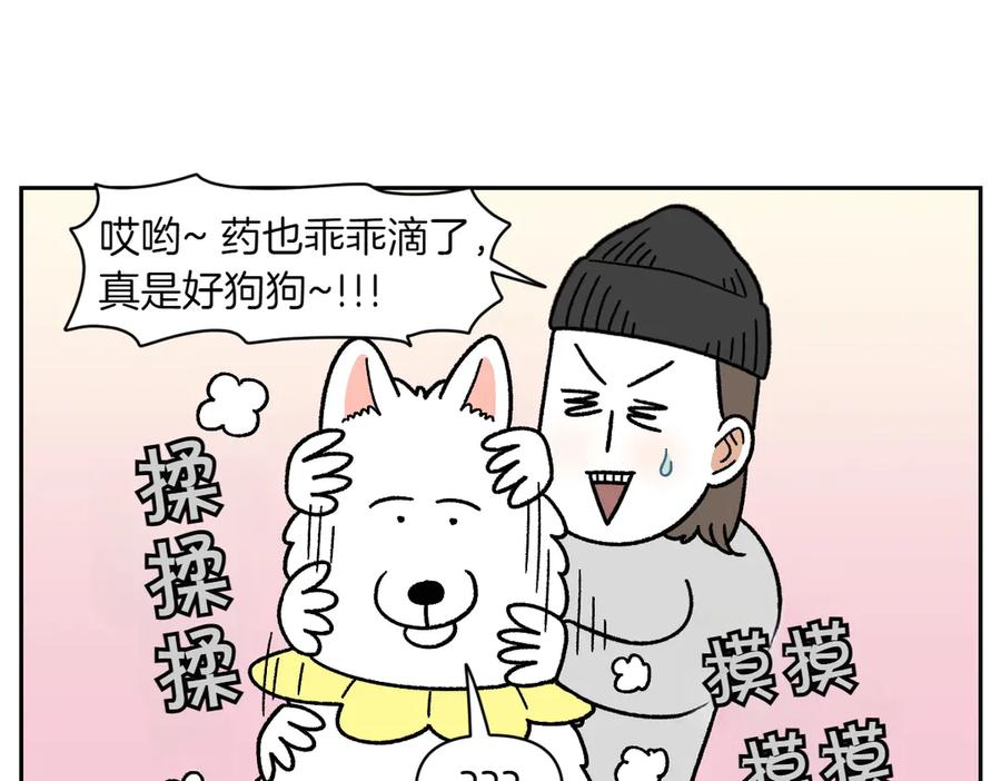 《我的狗子叫棉花》第43话 治疗眼病(2) 第20页