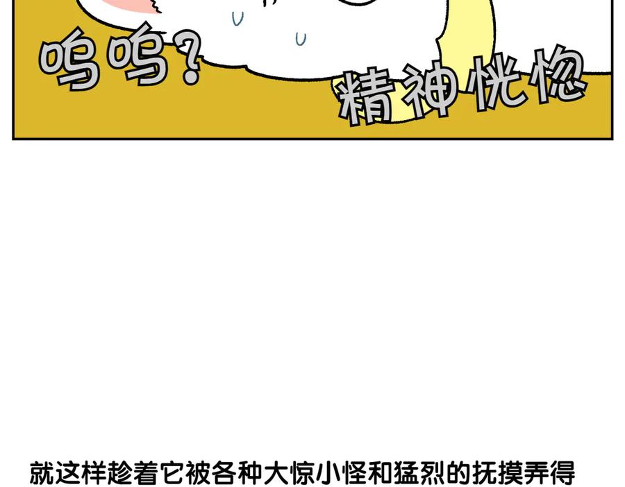 《我的狗子叫棉花》第43话 治疗眼病(2) 第14页