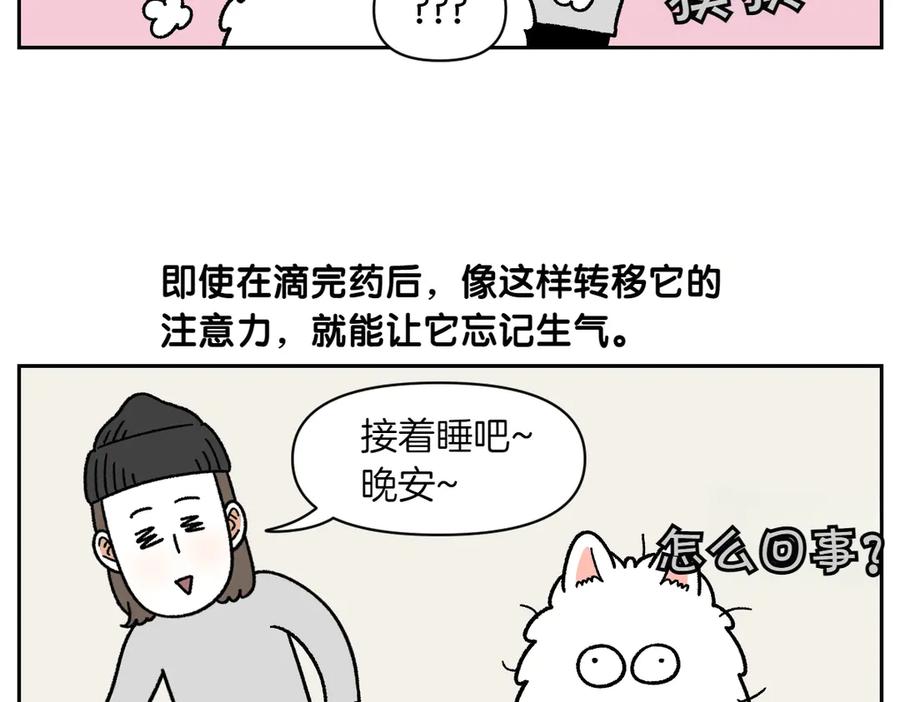 《我的狗子叫棉花》第43话 治疗眼病(2) 第21页