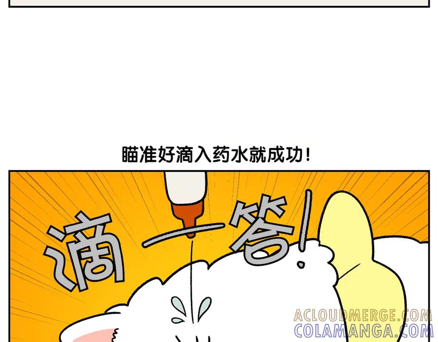 《我的狗子叫棉花》第43话 治疗眼病(2) 第16页