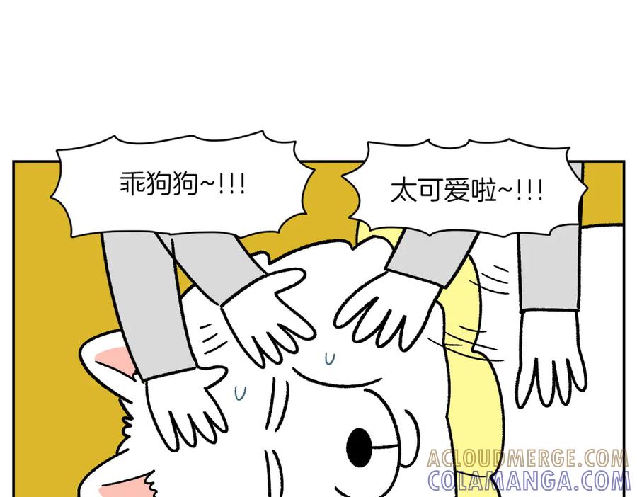 《我的狗子叫棉花》第43话 治疗眼病(2) 第13页