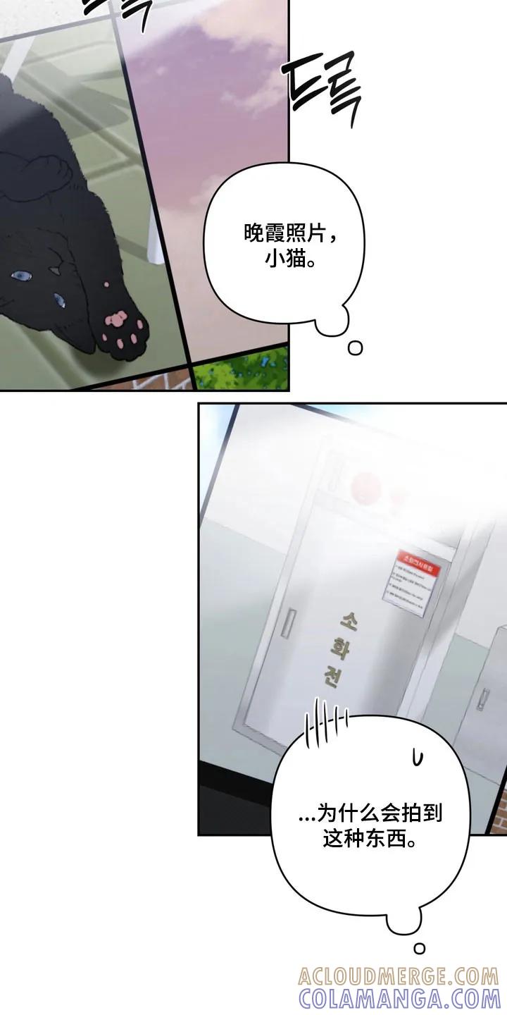 《忧郁的视线》第75章：无数的我 第3页
