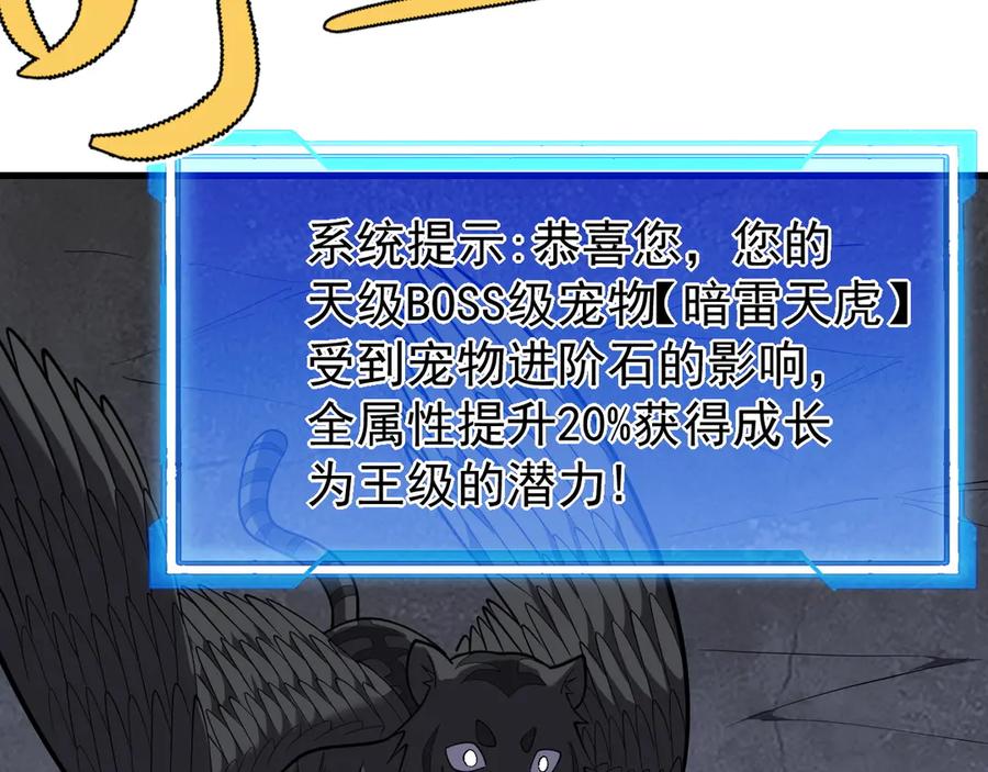 网游：因为太浪，我成了全服公敌！ 第99话 宠物进阶 第82页