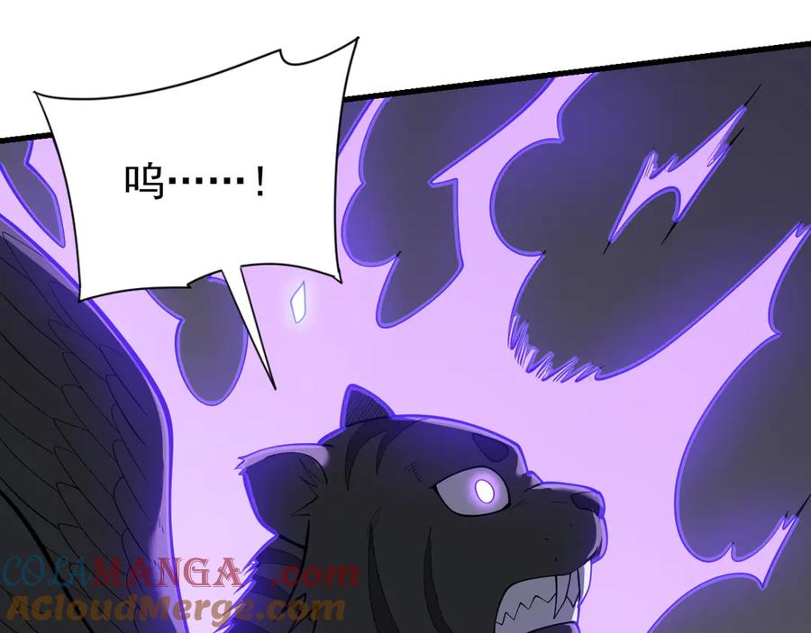 网游：因为太浪，我成了全服公敌！ 第99话 宠物进阶 第65页