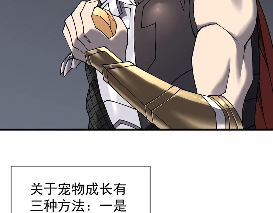 网游：因为太浪，我成了全服公敌！ 第99话 宠物进阶 第96页