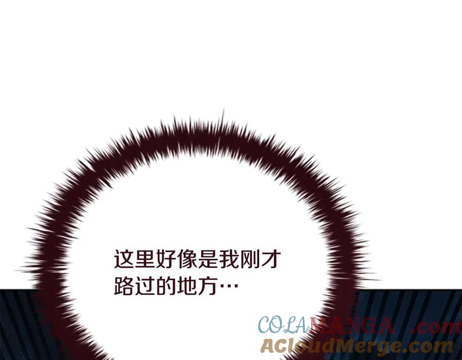 月影剑帝 第65话 故布疑阵 第213页