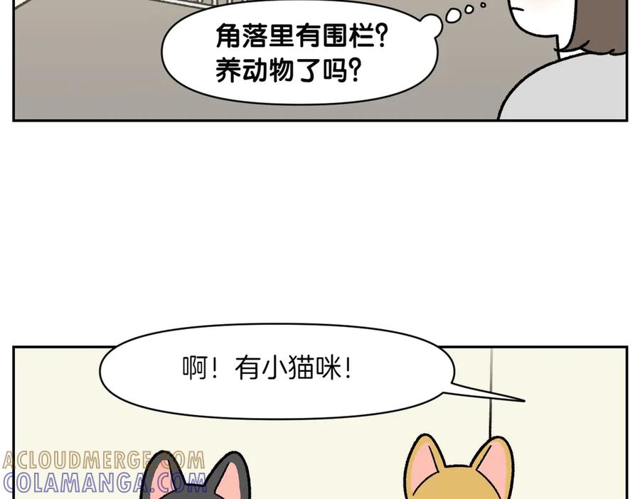 《我的狗子叫棉花》第52话 被传染猫癣 第7页
