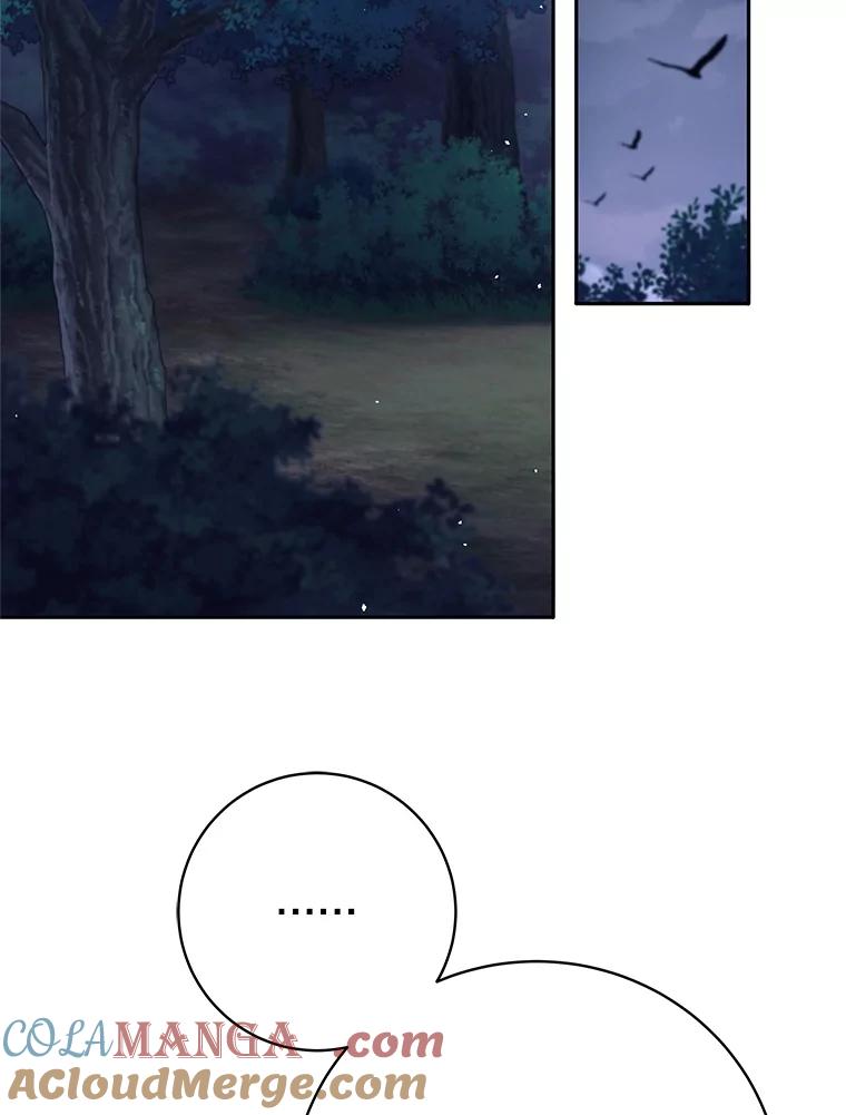 《这个勇士我不干了》31.燃烧魔力 第85页