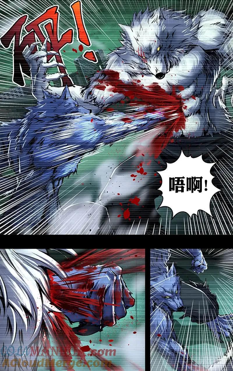 《狼人归来》204 第202话（薄野透VS卡特罗） 第6页