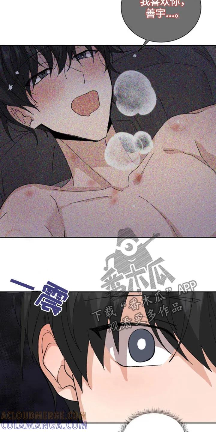 别样新婚 - 第47章：我真是疯了（第一季完结） - 第21张图