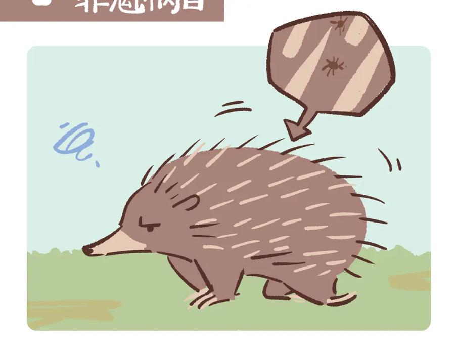 《胖达x胖达》第256话 第14页