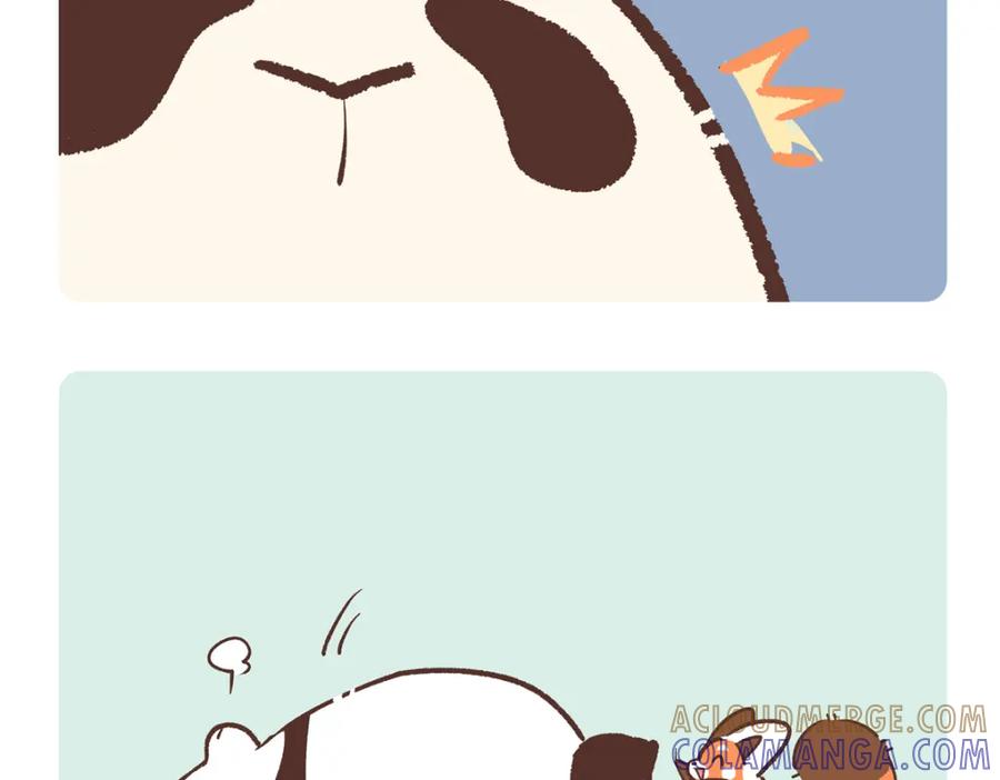 《胖达x胖达》第256话 第11页