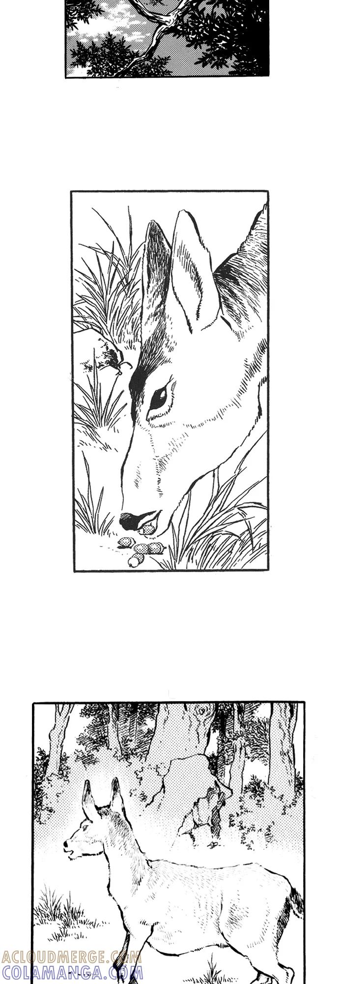 《龙飞不败》第36话 第40页