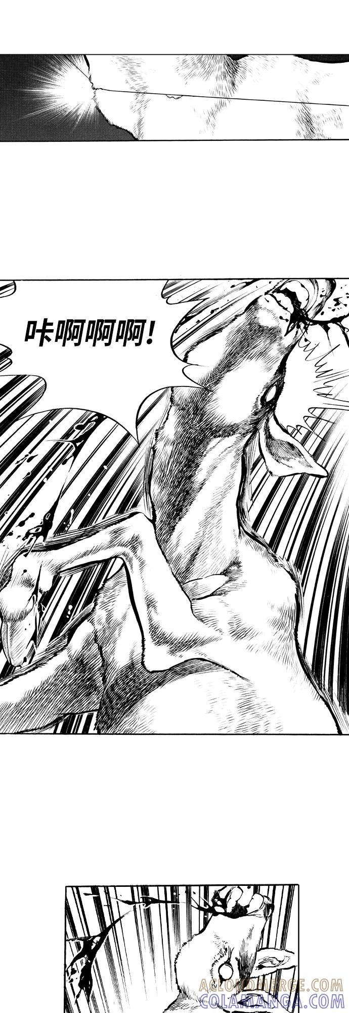 《龙飞不败》第36话 第43页