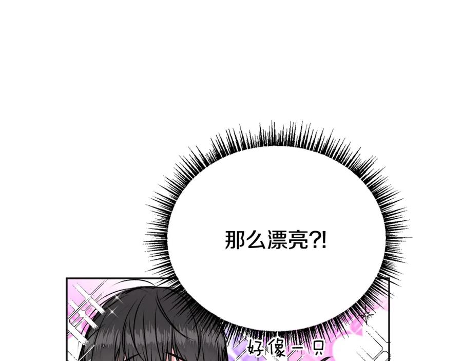 哥哥，别哭 - 第21话 初见 - 第75张图