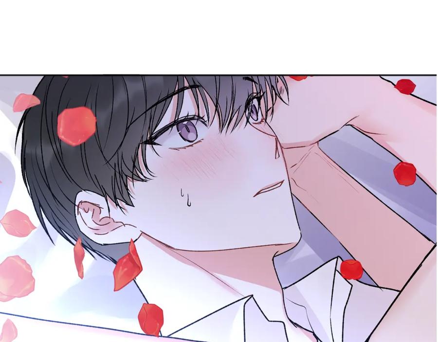 哥哥，别哭 - 番外一 蜜月旅行 - 第116张图