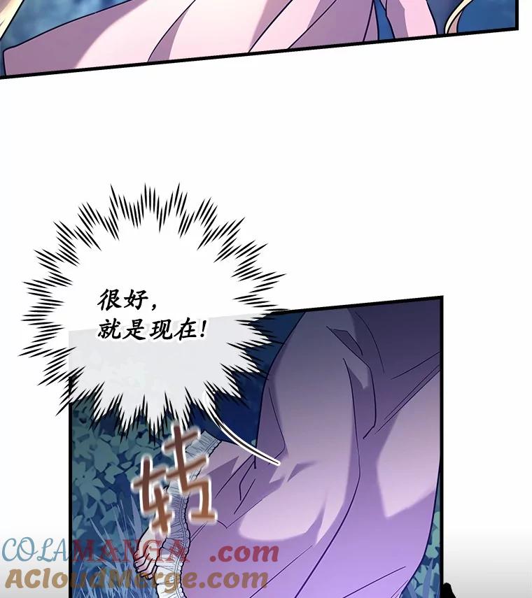 《小圣女想要毁灭世界》31.真实身份 第97页