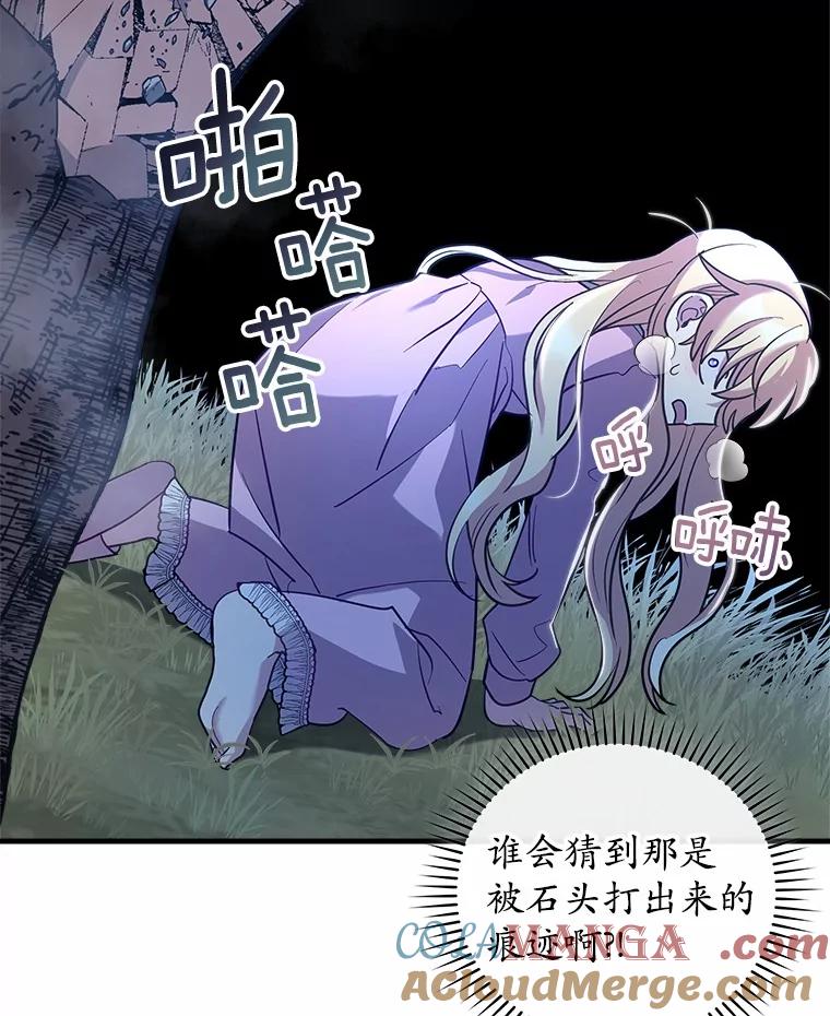 《小圣女想要毁灭世界》31.真实身份 第57页
