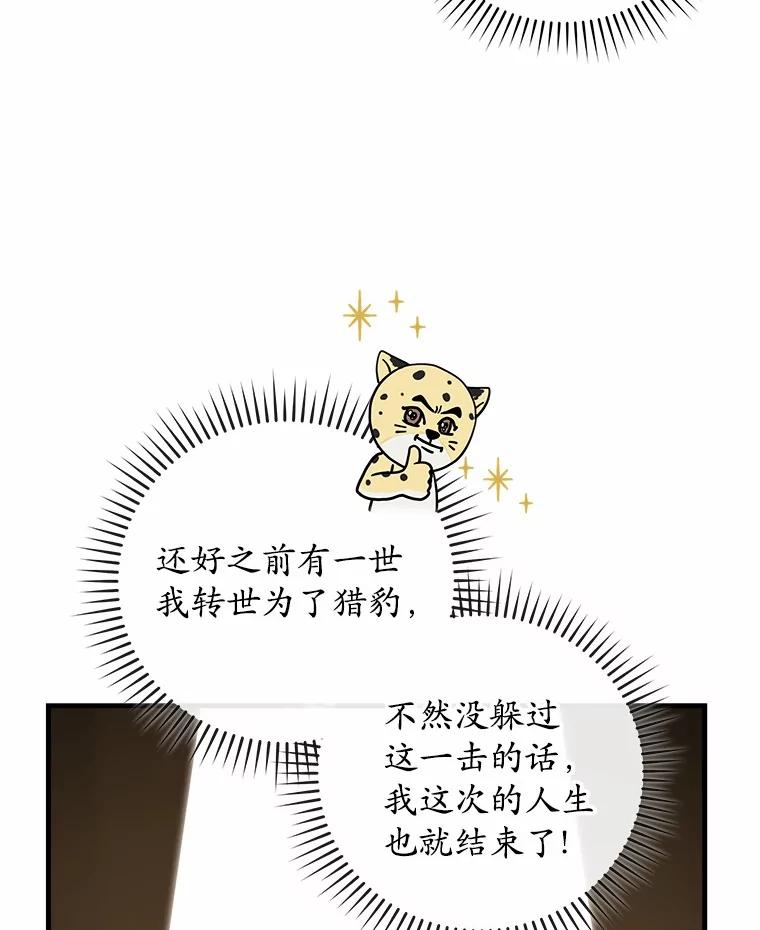 《小圣女想要毁灭世界》31.真实身份 第58页