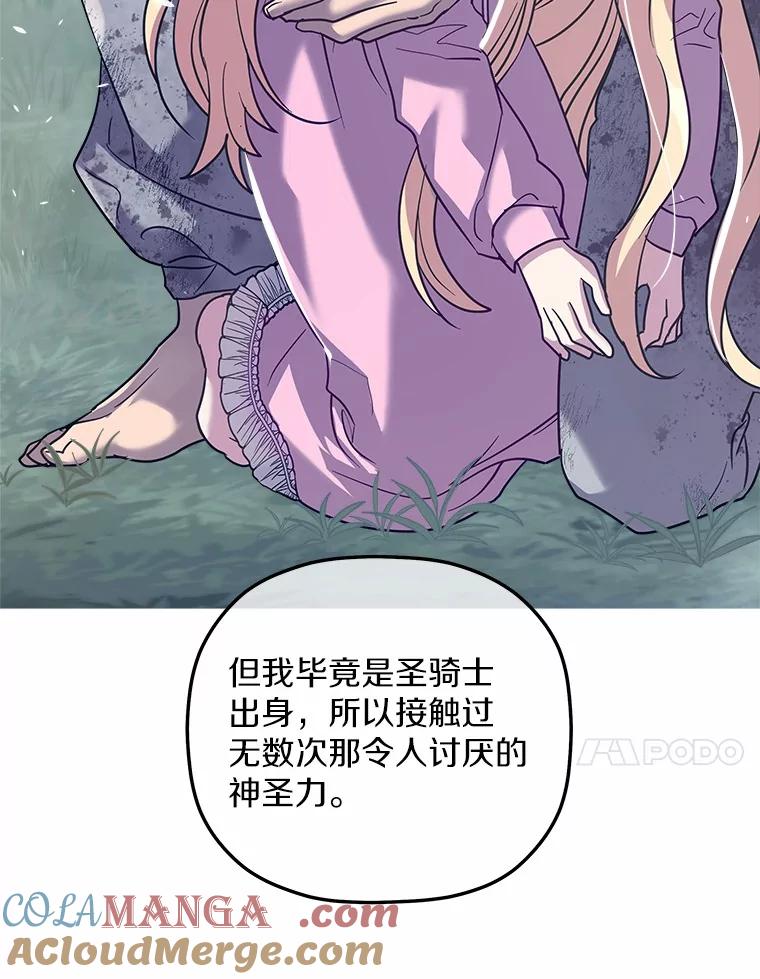 《小圣女想要毁灭世界》31.真实身份 第105页