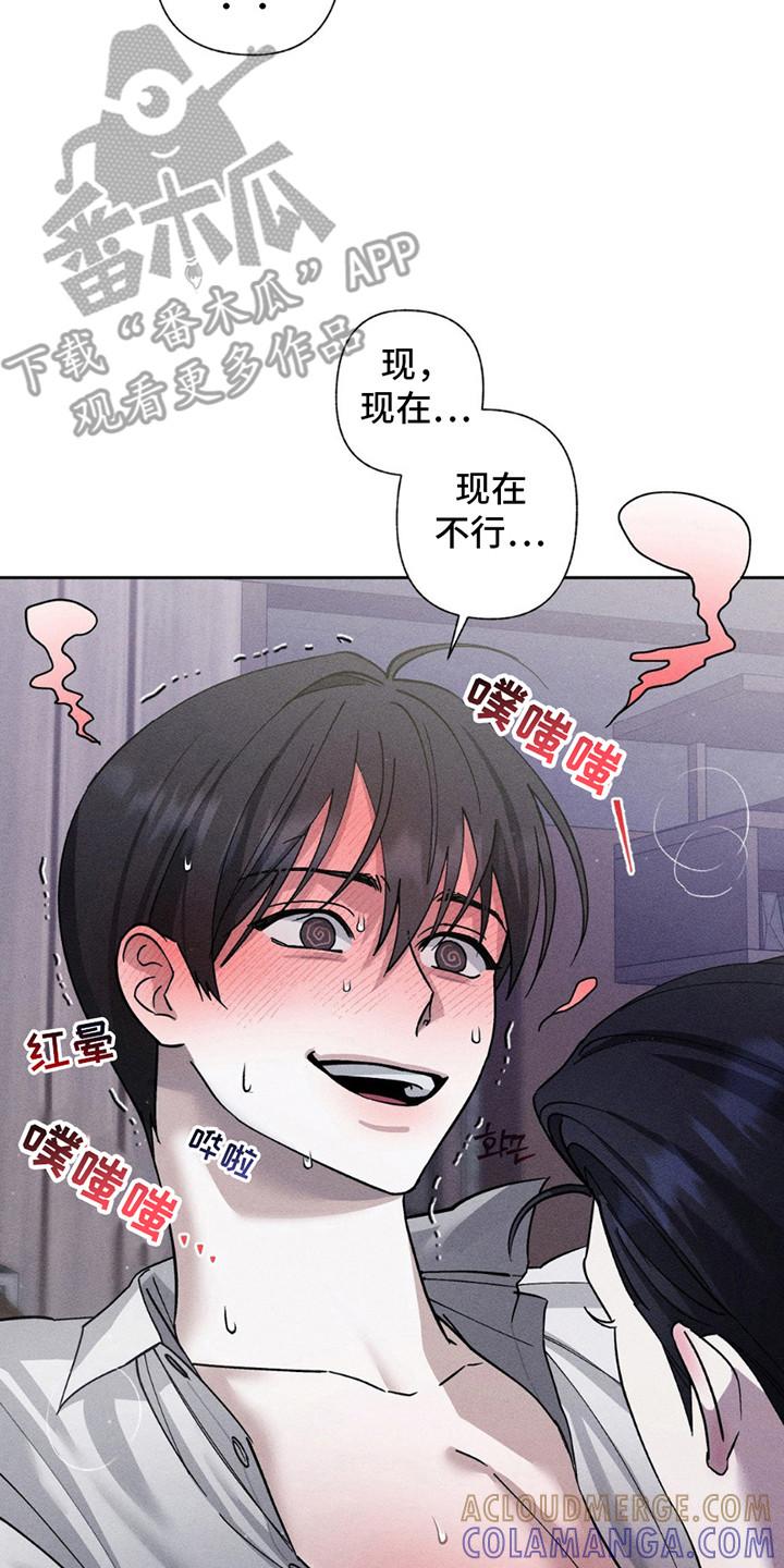 《特写爱意》第12章：再次中断 第15页
