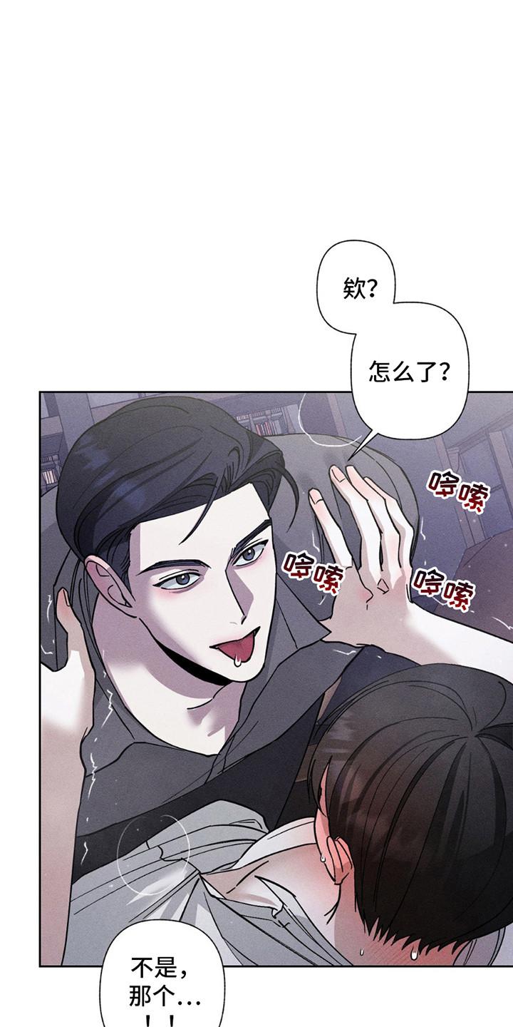 《特写爱意》第12章：再次中断 第14页