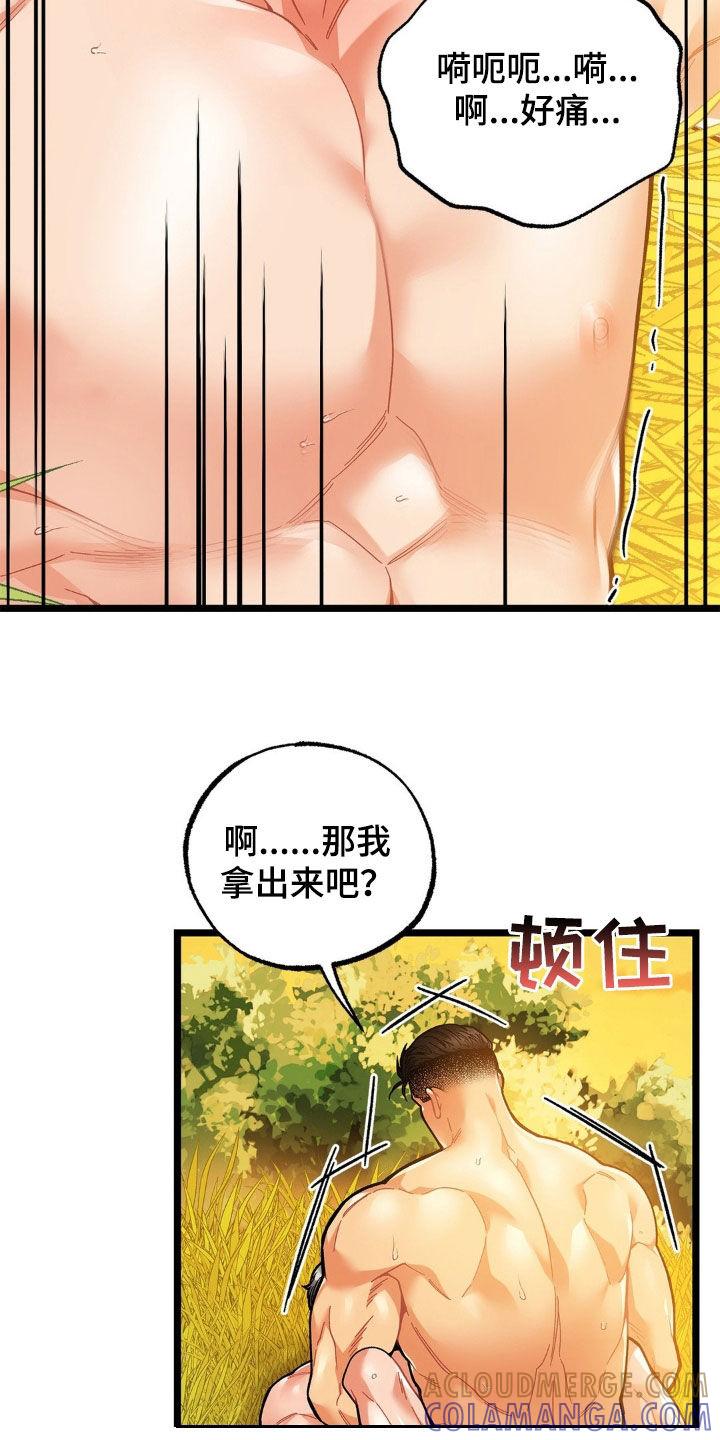《浴火重生》第31章：变得更痛 第13页