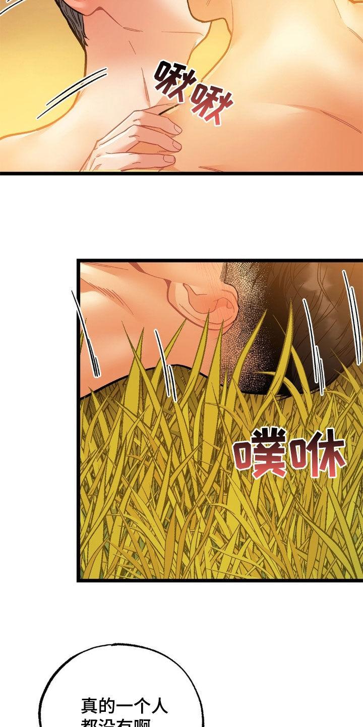 《浴火重生》第31章：变得更痛 第2页