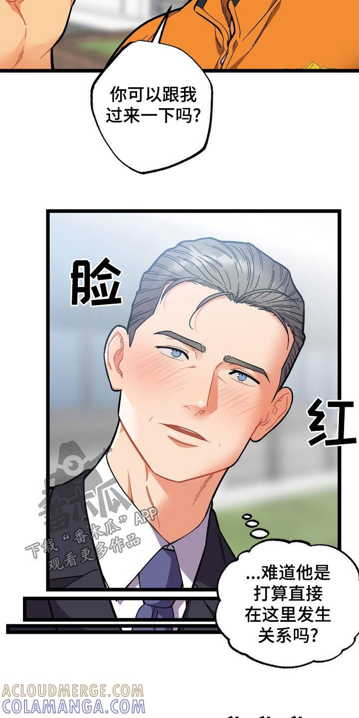 《浴火重生》第33章：无法冷静 第17页