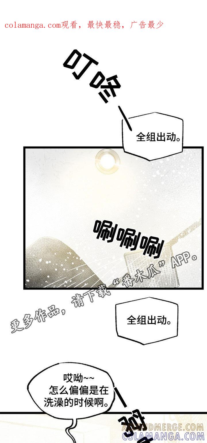 《浴火重生》第35章：配合 第1页