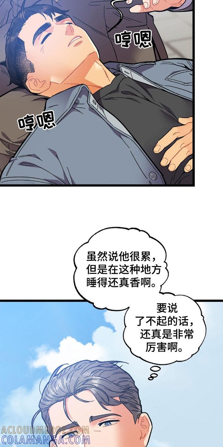 《浴火重生》第38章：结束这个梦 第17页