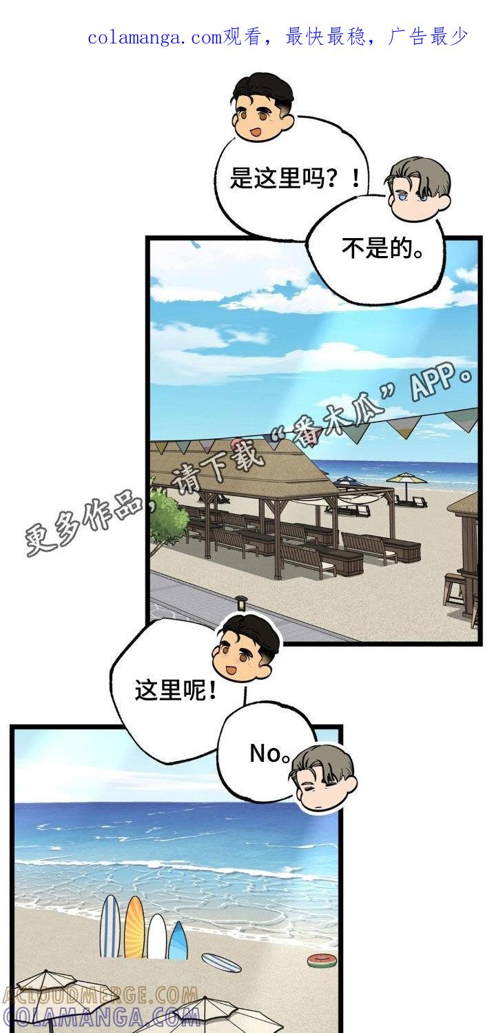 《浴火重生》第38章：结束这个梦 第1页