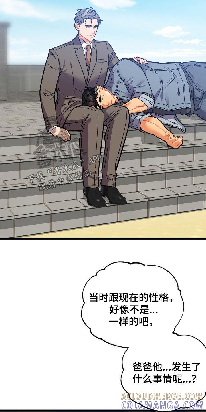 《浴火重生》第38章：结束这个梦 第15页