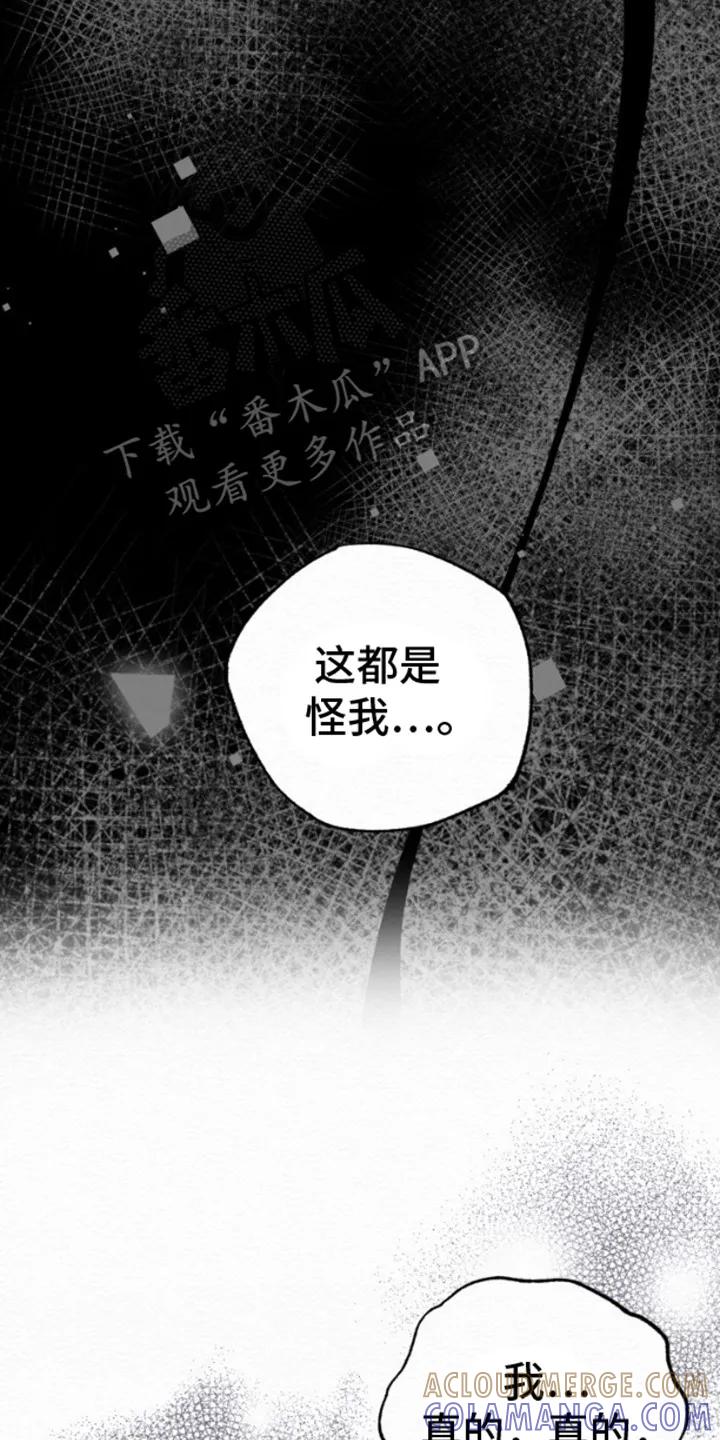 《给记忆添香》第4章：说明情况 第15页