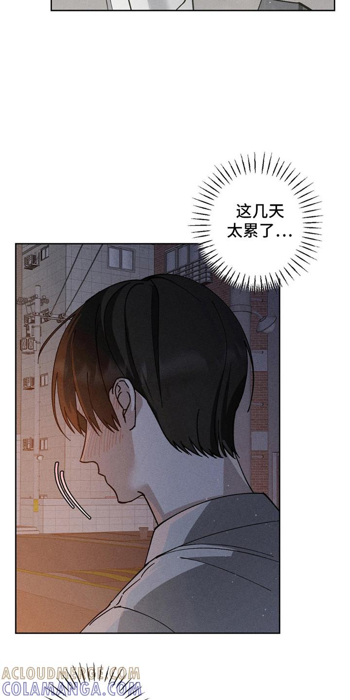 《特写爱意》第8章：安抚 第17页