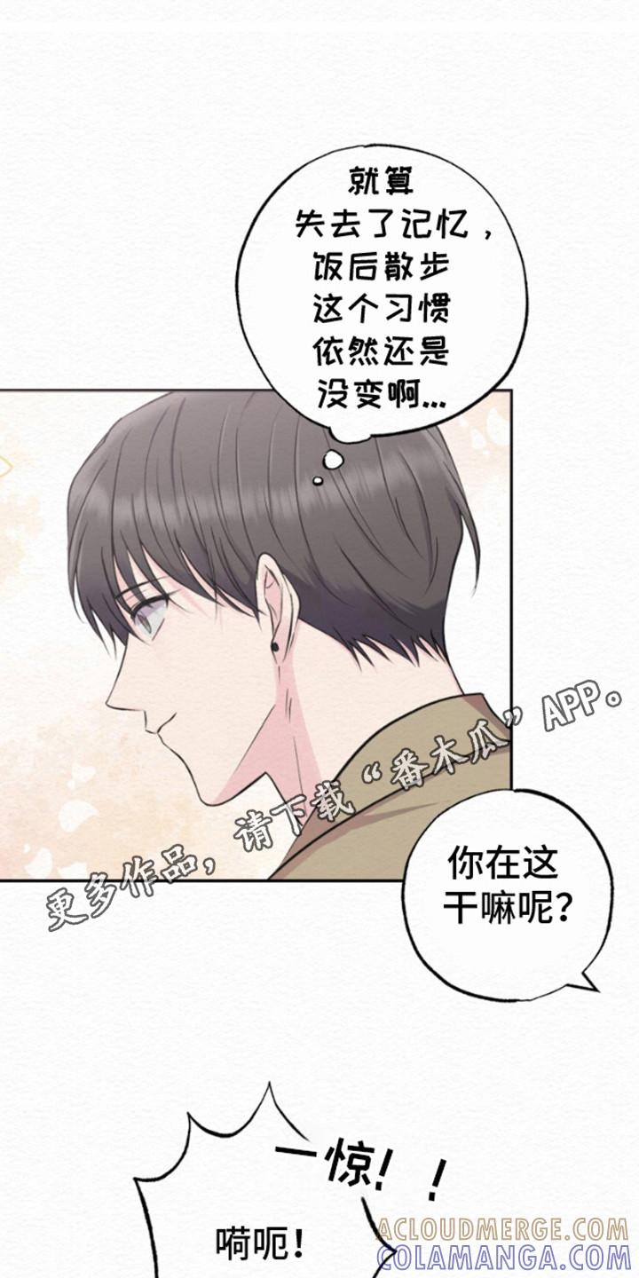 《给记忆添香》第9章：小心翼翼 第11页