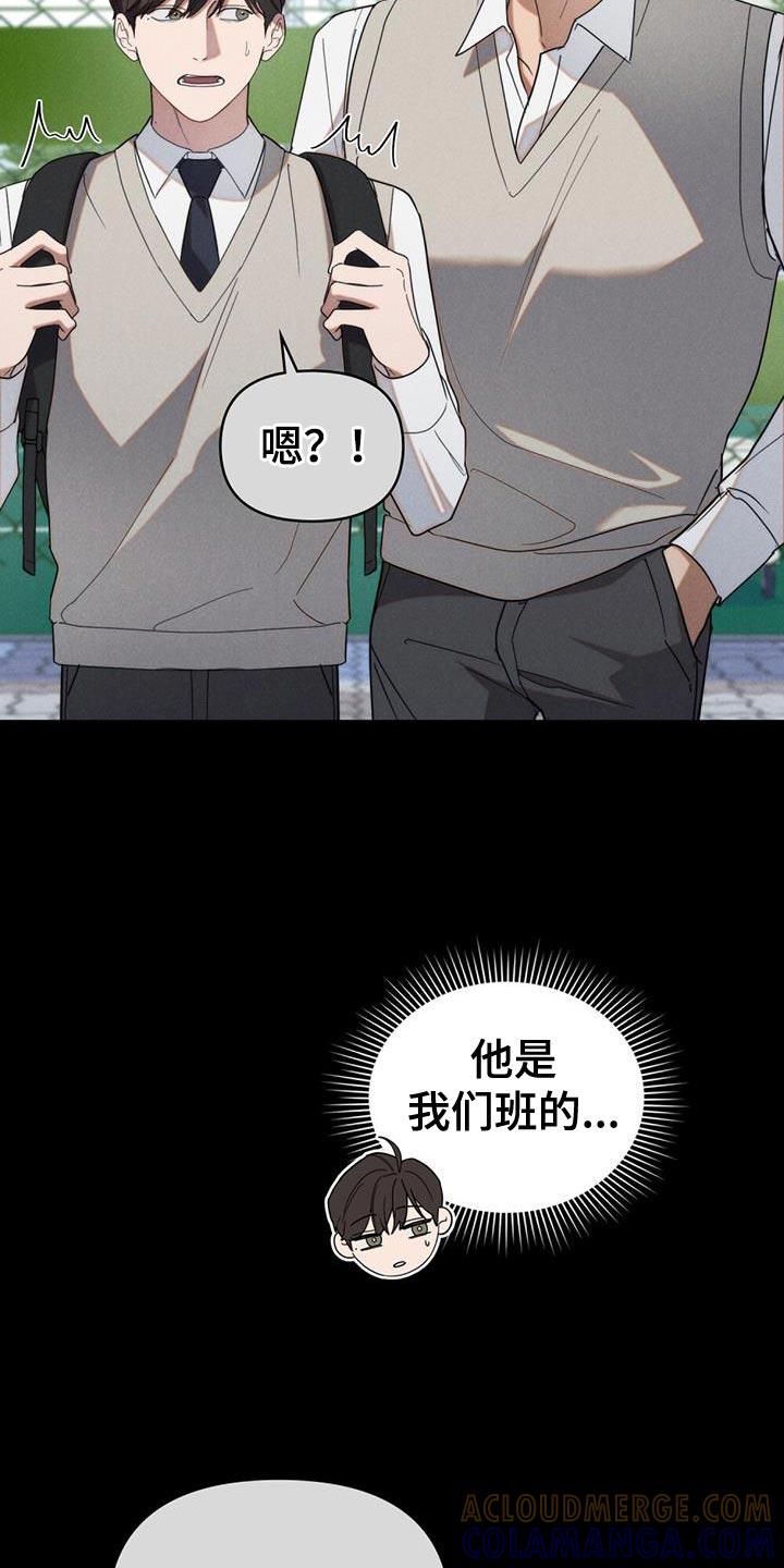《卧底大佬》第37章：名字都不知道 第29页