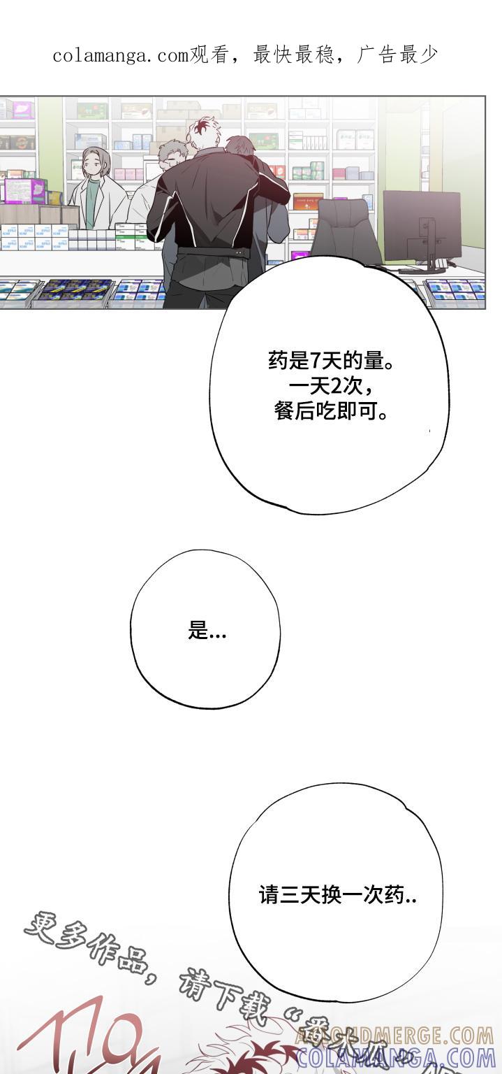 《前世梦魇》第37章：送你回家 第1页