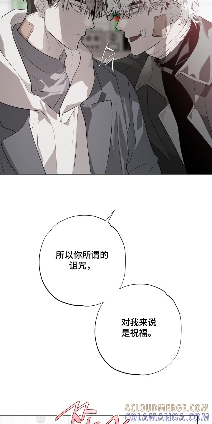 《前世梦魇》第38章：不要自责 第17页