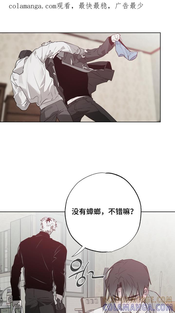 《前世梦魇》第38章：不要自责 第1页