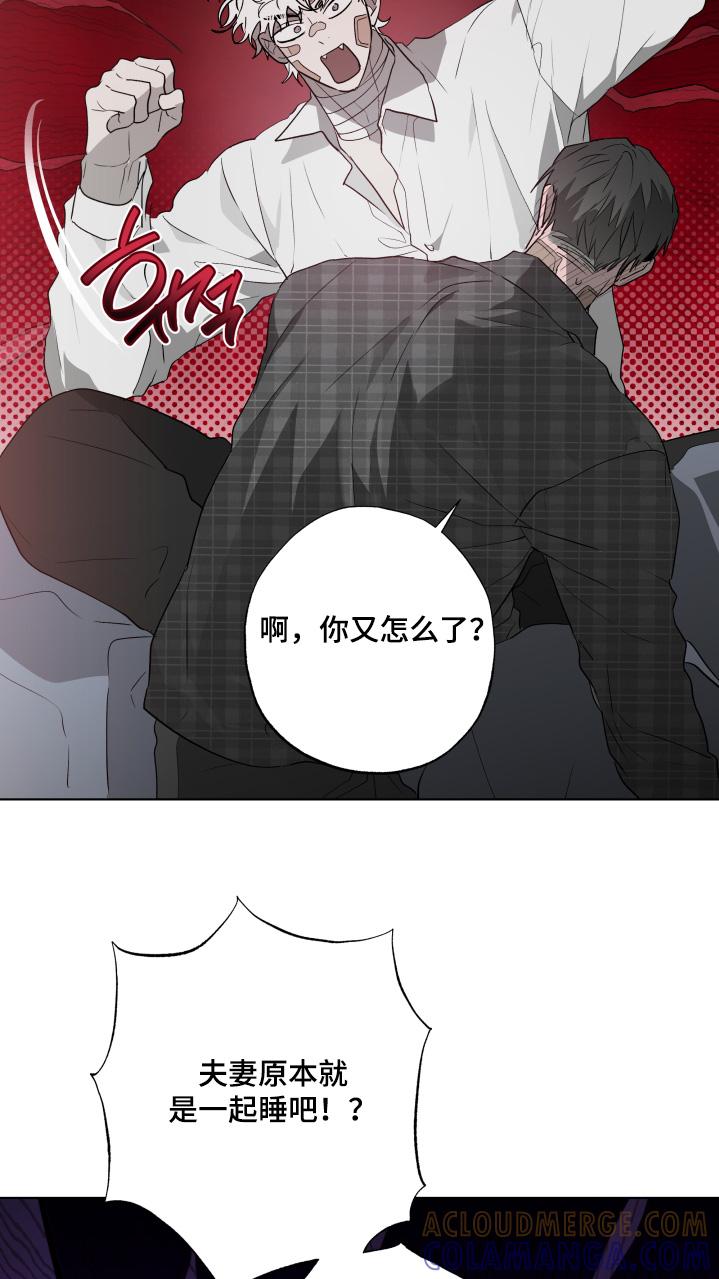 《前世梦魇》第39章：一起睡啊 第15页