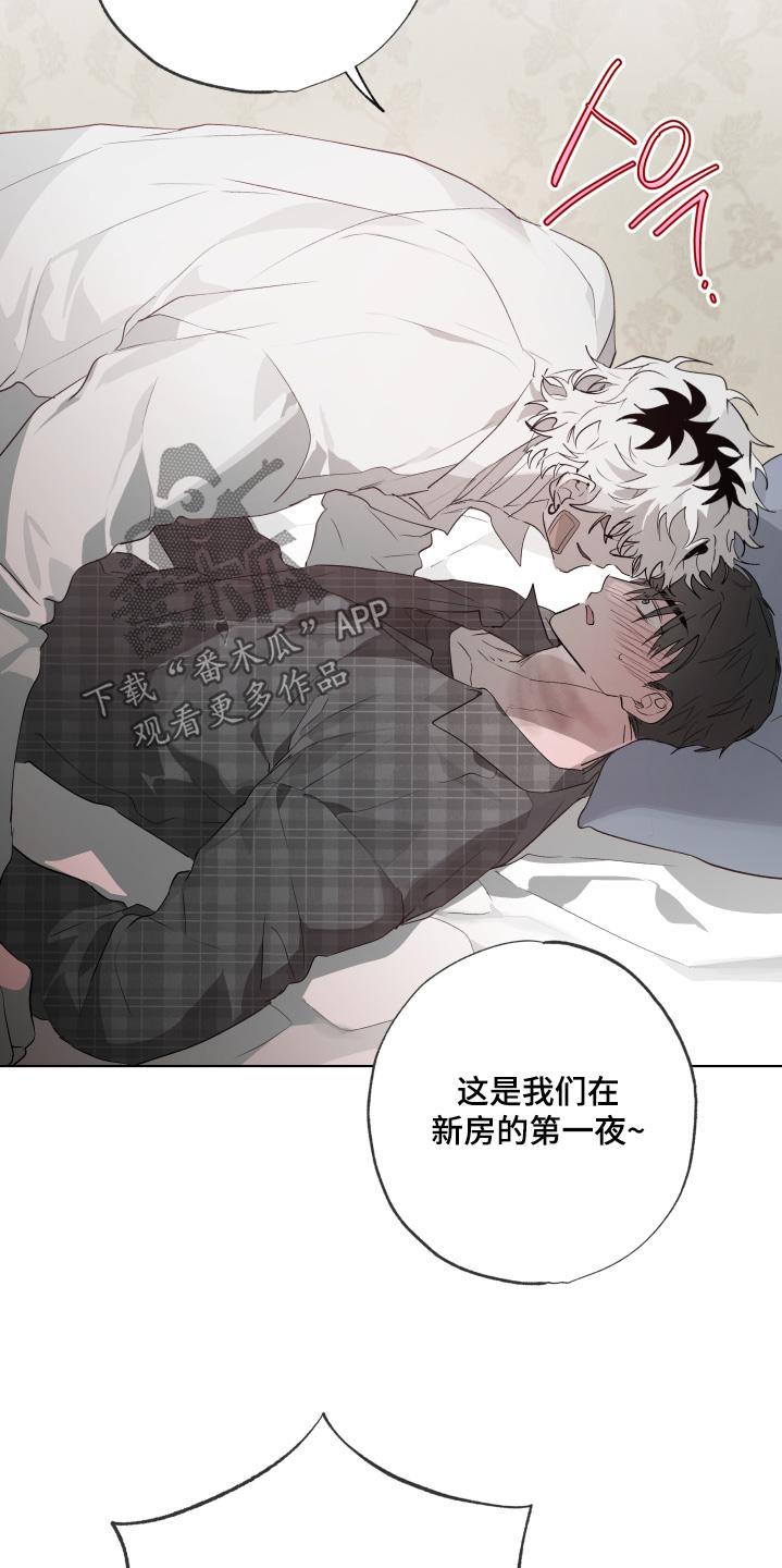 《前世梦魇》第40章：真的睡着了 第18页