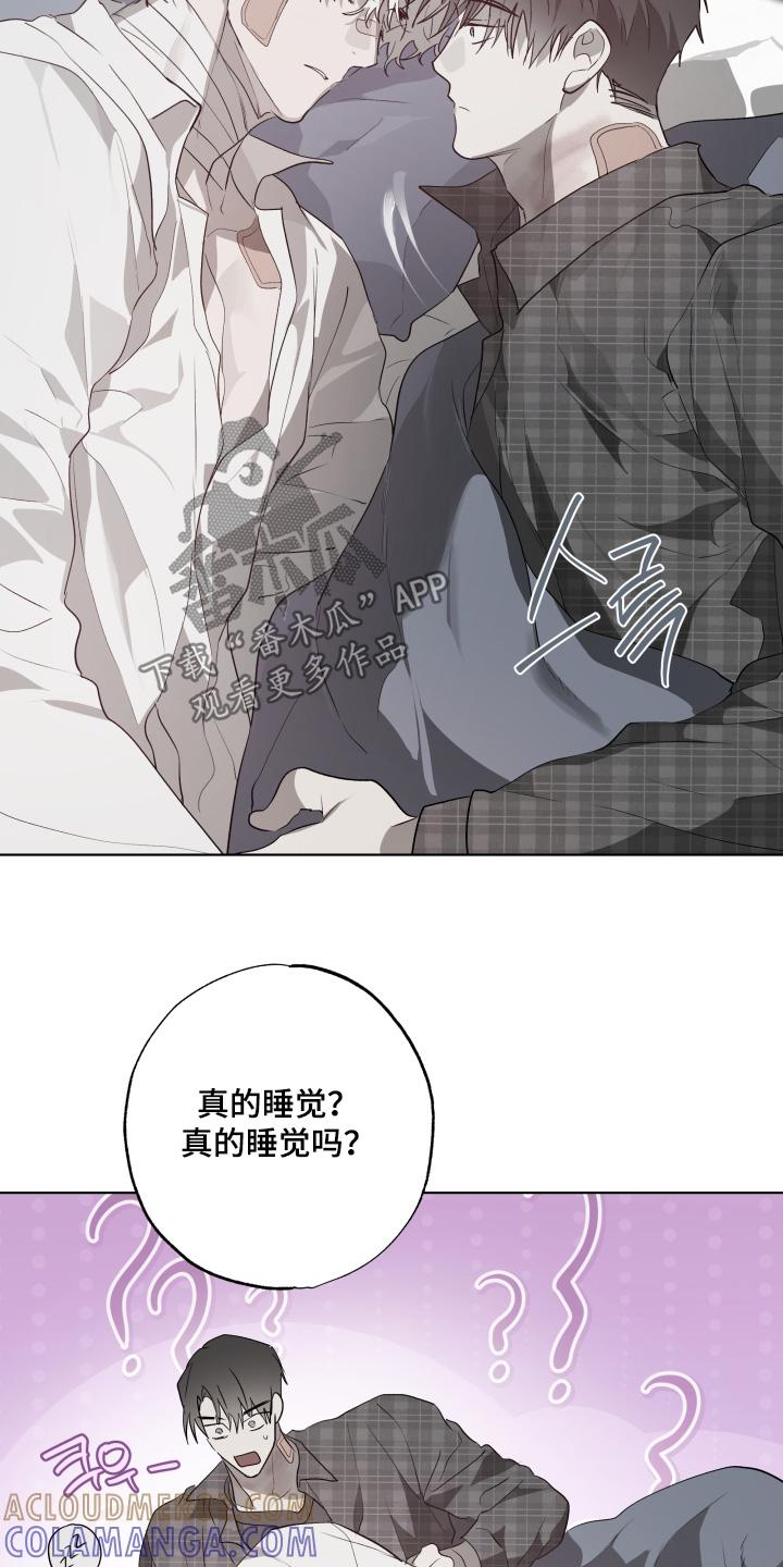 《前世梦魇》第40章：真的睡着了 第3页