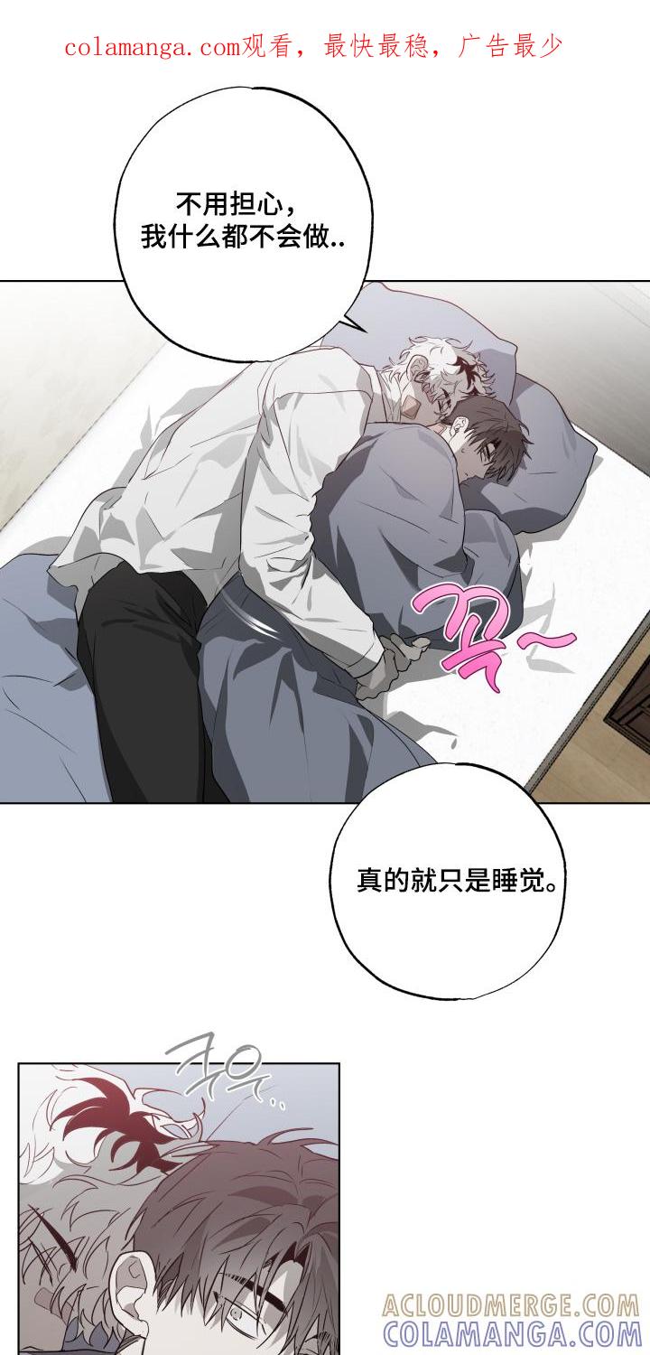 《前世梦魇》第40章：真的睡着了 第1页